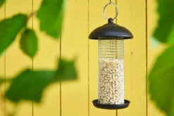 Dehner Natura Premium Wildvogelfutter Gehackte Erdnüsse im Eimer, 5 l