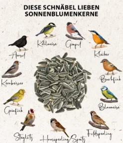 Dehner Natura Premium Wildvogelfutter Sonnenblumenkerne