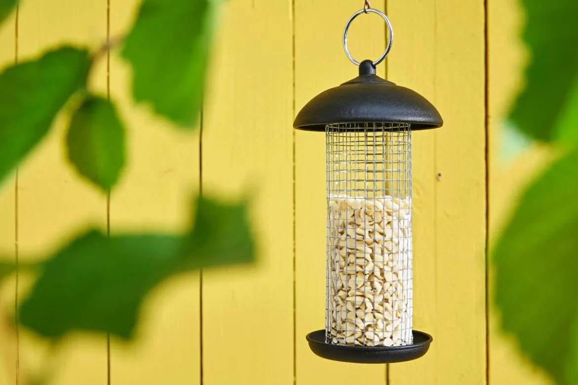 Dehner Natura Premium Wildvogelfutter Gehackte Erdnüsse
