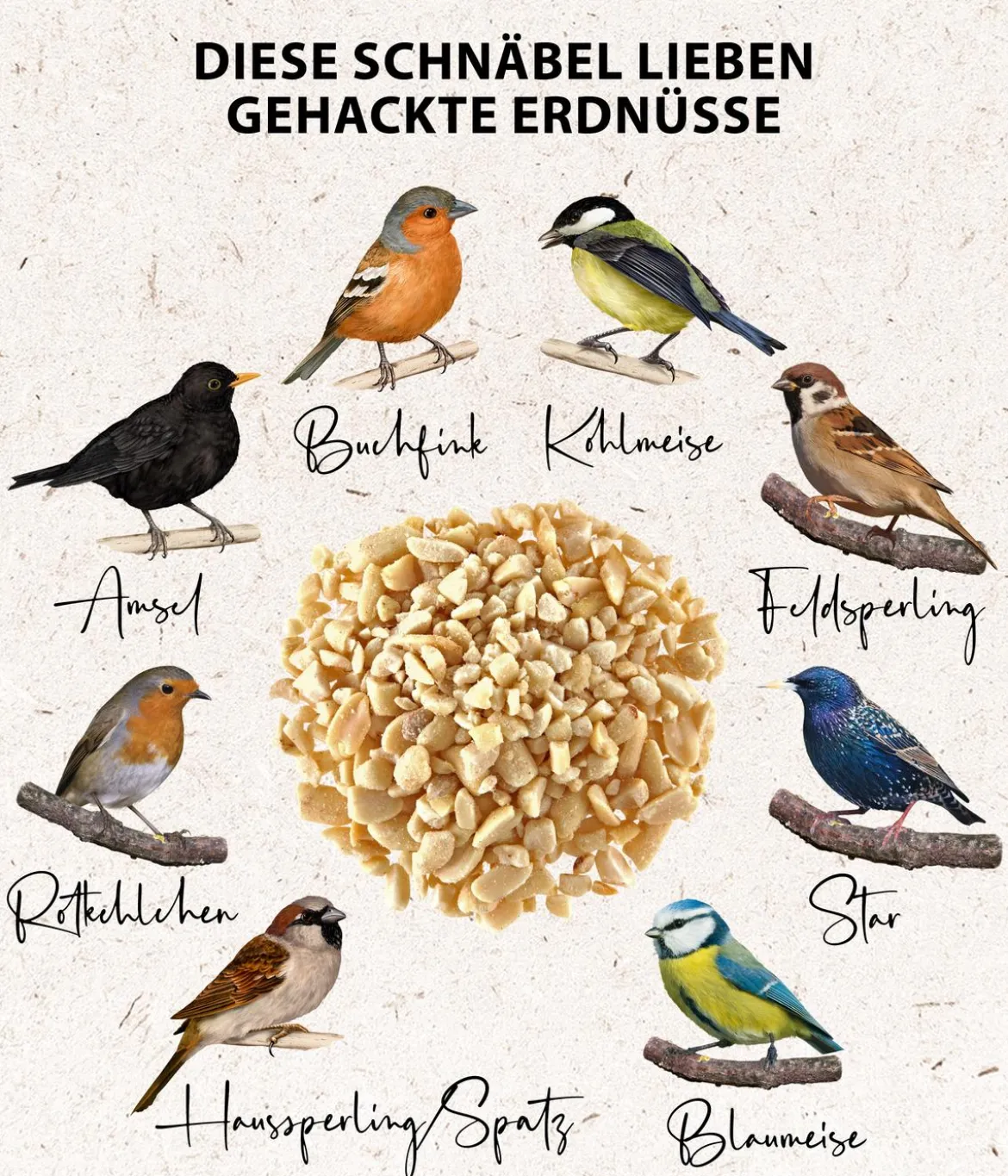 Dehner Natura Premium Wildvogelfutter Gehackte Erdnüsse