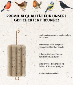Dehner Natura Premium Wildvogelfutter Gourmet Blocks mit Hirse, 6 Stk á ca. 90 g