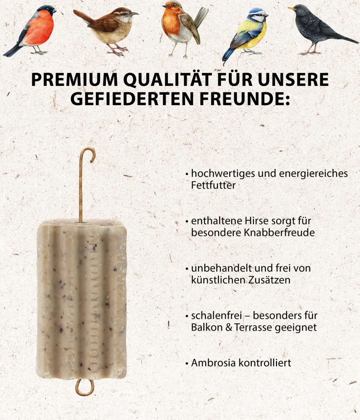 Dehner Natura Premium Wildvogelfutter Gourmet Blocks mit Hirse, 6 Stk á ca. 90 g