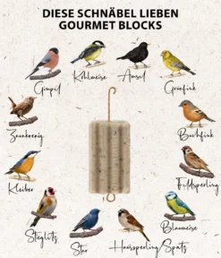 Dehner Natura Premium Wildvogelfutter Gourmet Blocks mit Vogelbeeren, 6 Stk á ca. 90 g