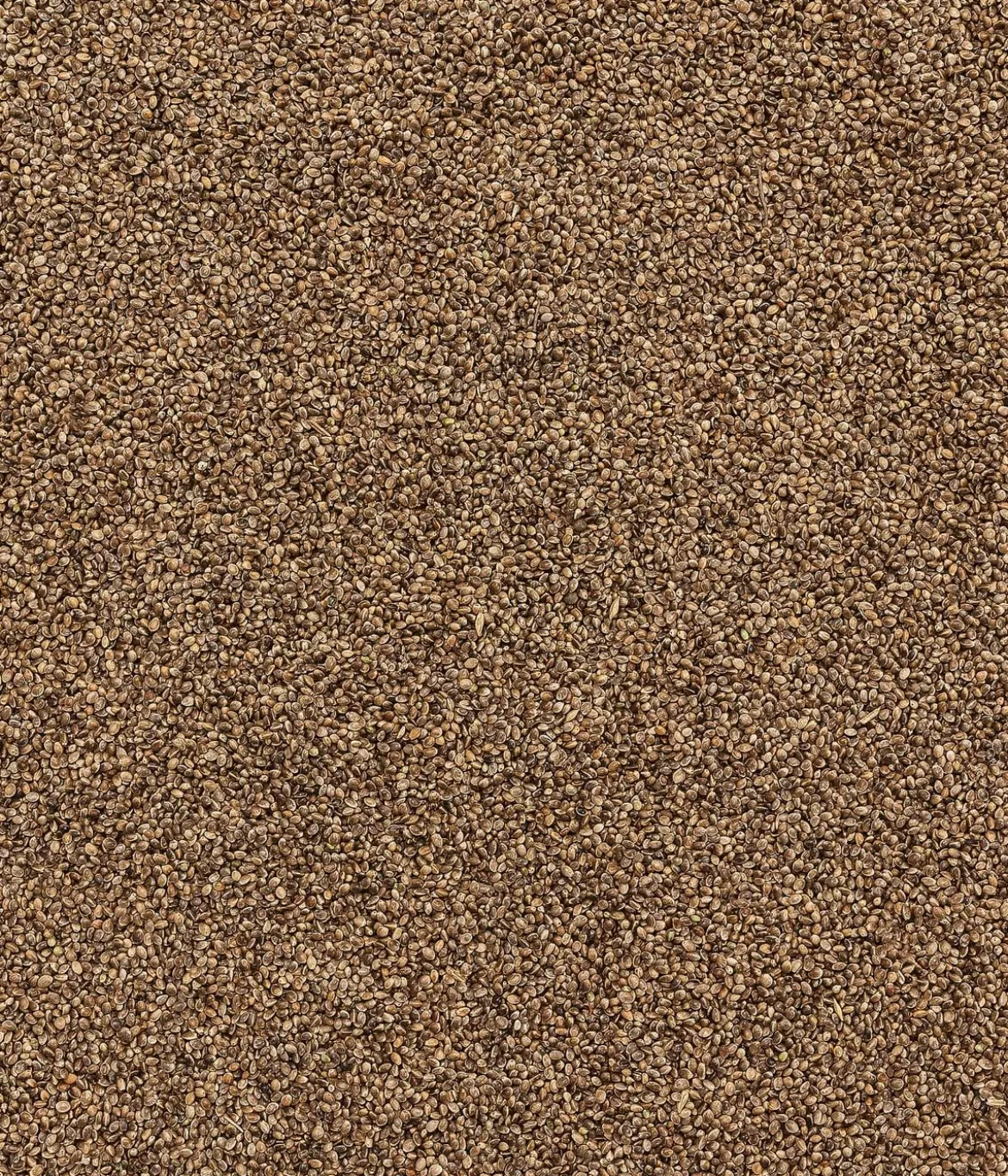 Dehner Natura Premium Wildvogelfutter Hanfsaat