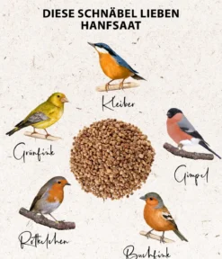 Dehner Natura Premium Wildvogelfutter Hanfsaat