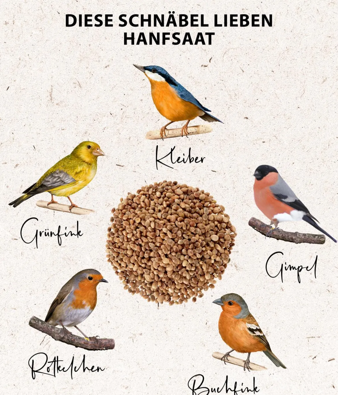 Dehner Natura Premium Wildvogelfutter Hanfsaat