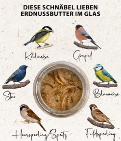 Dehner Natura Premium Wildvogelfutter Erdnussbutter im Glas, Mehlwürmer, 8 x 340 g