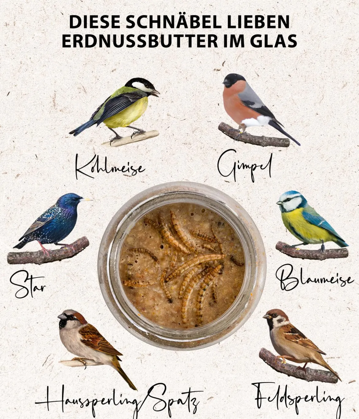 Dehner Natura Premium Wildvogelfutter Erdnussbutter im Glas, Mehlwürmer, 8 x 340 g