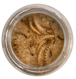 Dehner Natura Premium Wildvogelfutter Erdnussbutter im Glas, Mehlwürmer, 8 x 340 g