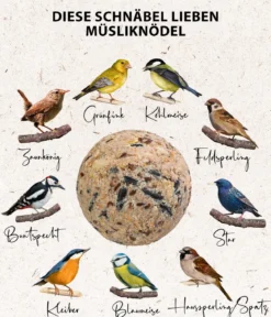 Dehner Natura Premium Wildvogelfutter Müsli-Meisenknödel im Eimer, mit Netz, 30 Stk.