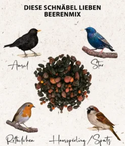 Dehner Natura Premium Wildvogelfutter Beeren-Mix, 500 g
