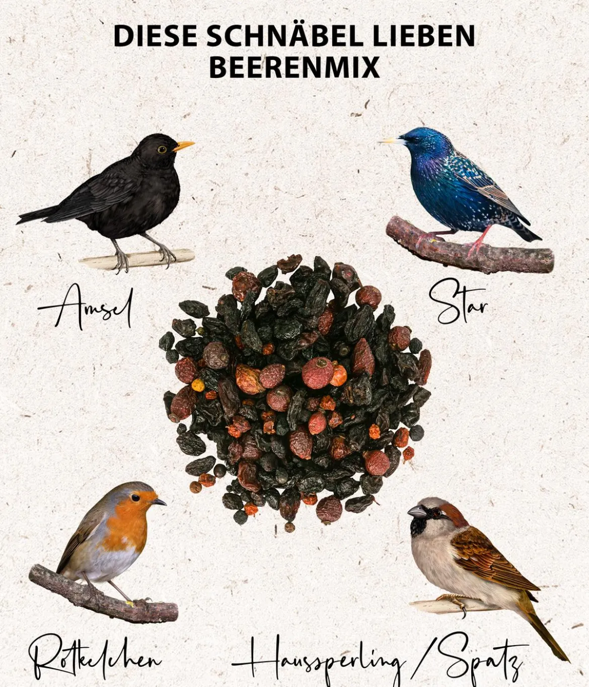 Dehner Natura Premium Wildvogelfutter Beeren-Mix, 500 g