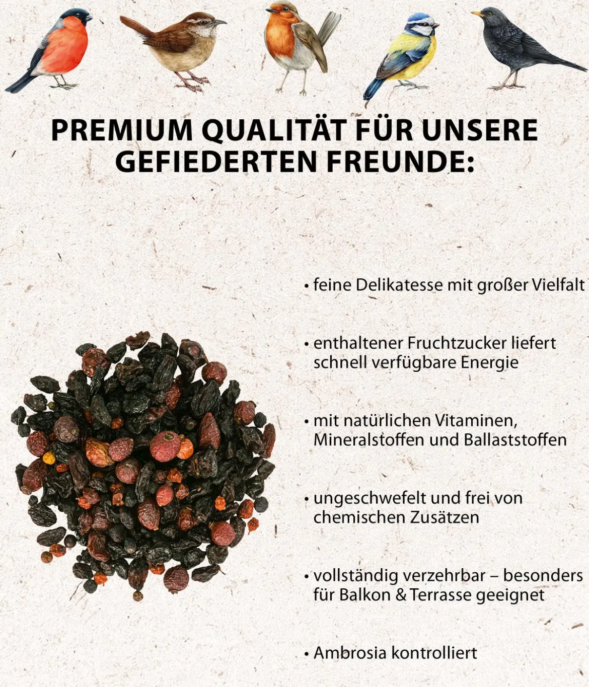 Dehner Natura Premium Wildvogelfutter Beeren-Mix, 500 g