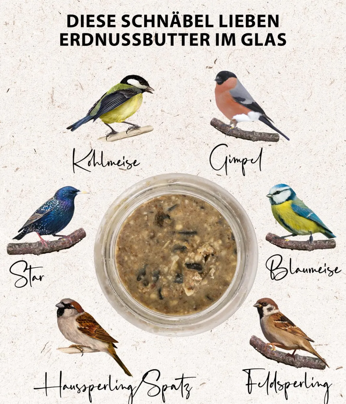 Dehner Natura Premium Wildvogelfutter Erdnussbutter im Glas, 8 x 340 g