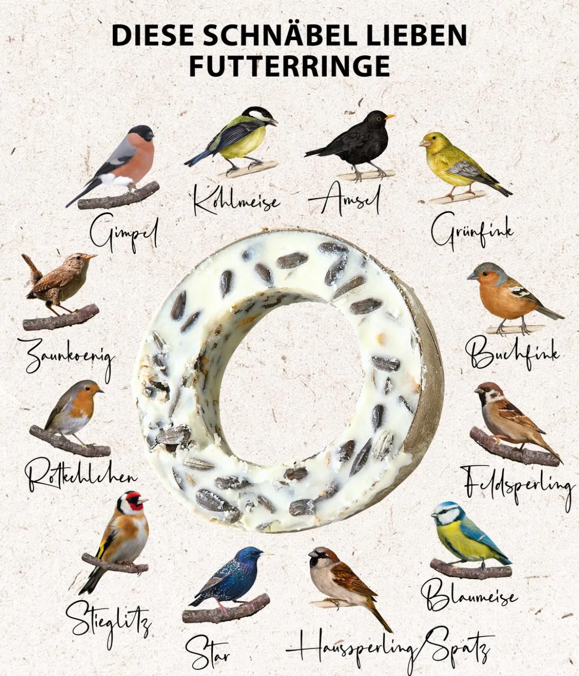 Dehner Natura Premium Wildvogel Gourmet-Ringe, 3 Stk.