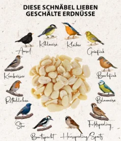 Dehner Natura Premium Wildvogelfutter Halbe/Ganze Erdnüsse
