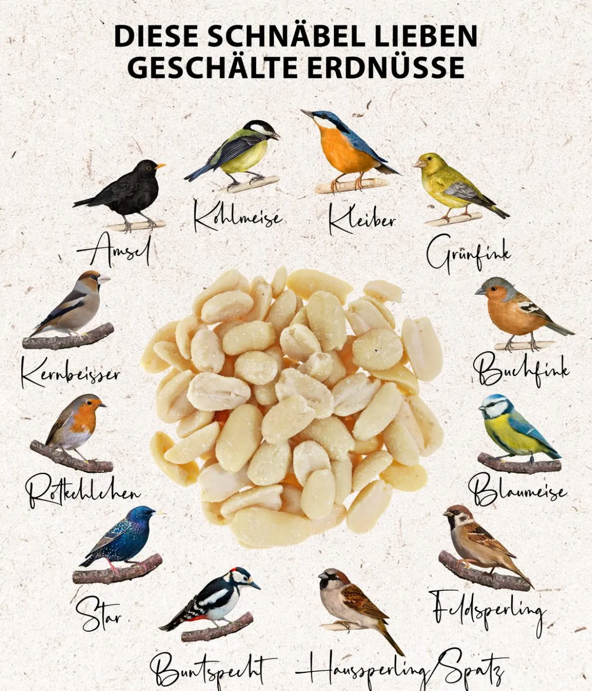 Dehner Natura Premium Wildvogelfutter Halbe/Ganze Erdnüsse