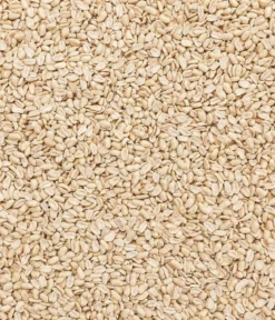 Dehner Natura Premium Wildvogelfutter Halbe/Ganze Erdnüsse