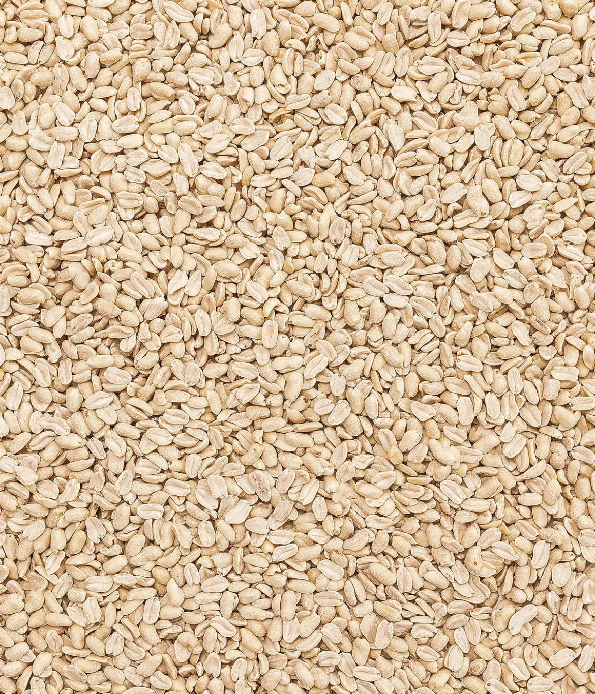 Dehner Natura Premium Wildvogelfutter Halbe/Ganze Erdnüsse