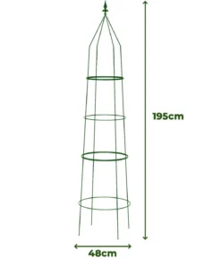 Dehner Obelisk Ilaria
