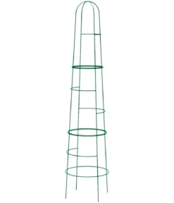 Dehner Obelisk Kuro