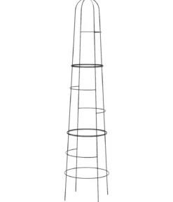 Dehner Obelisk Kuro