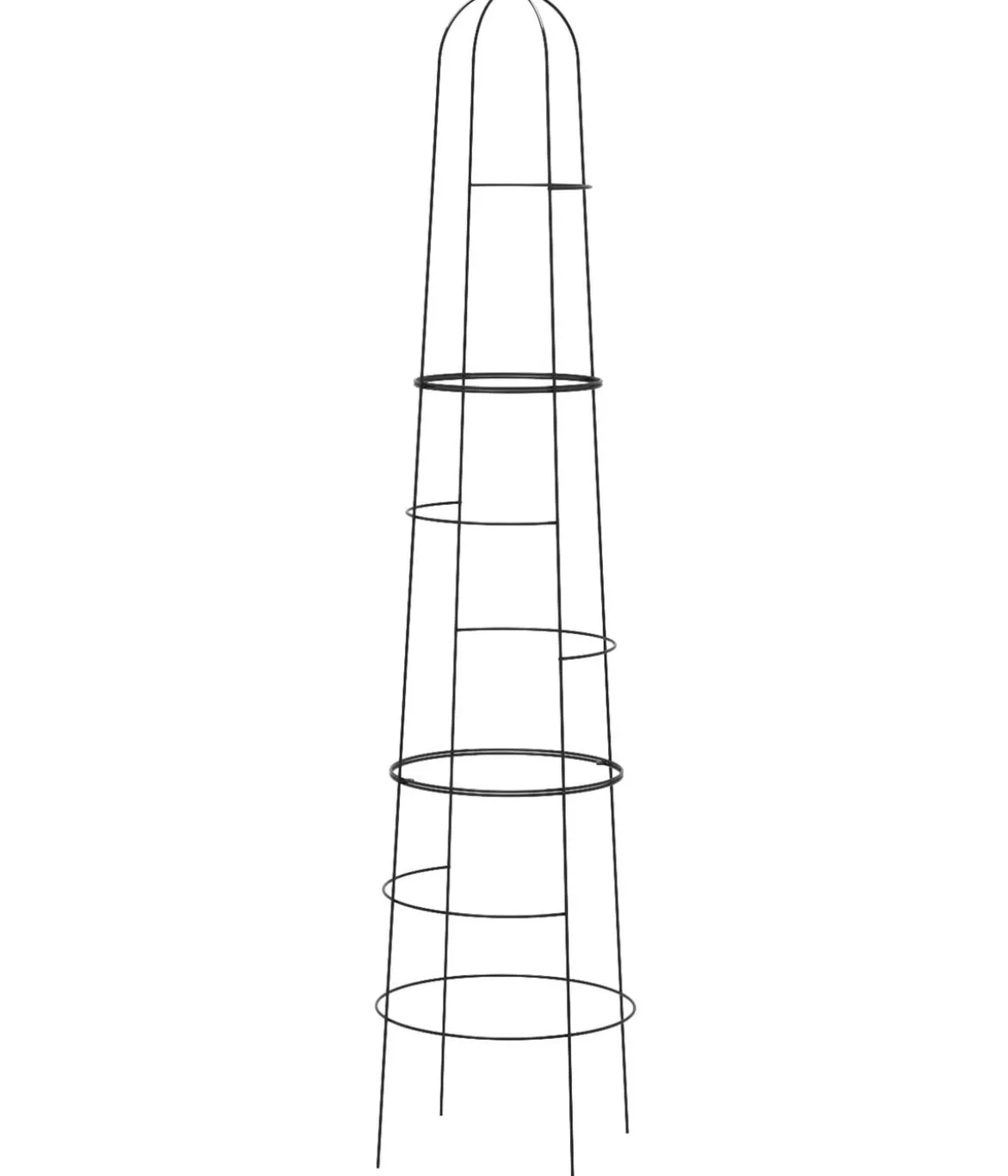 Dehner Obelisk Kuro