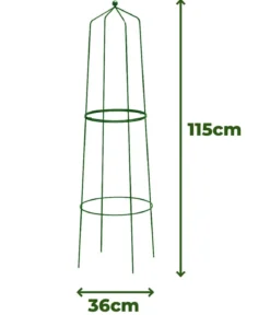 Dehner Obelisk Nova