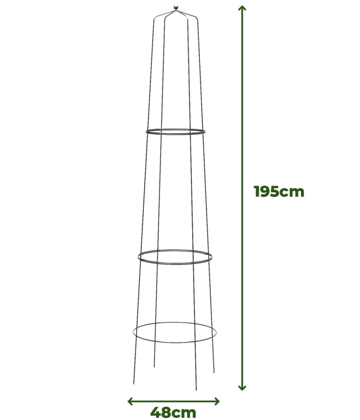 Dehner Obelisk Nova