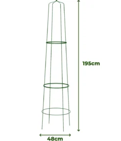 Dehner Obelisk Nova