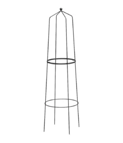 Dehner Obelisk Nova