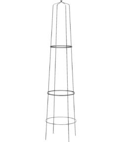 Dehner Obelisk Nova