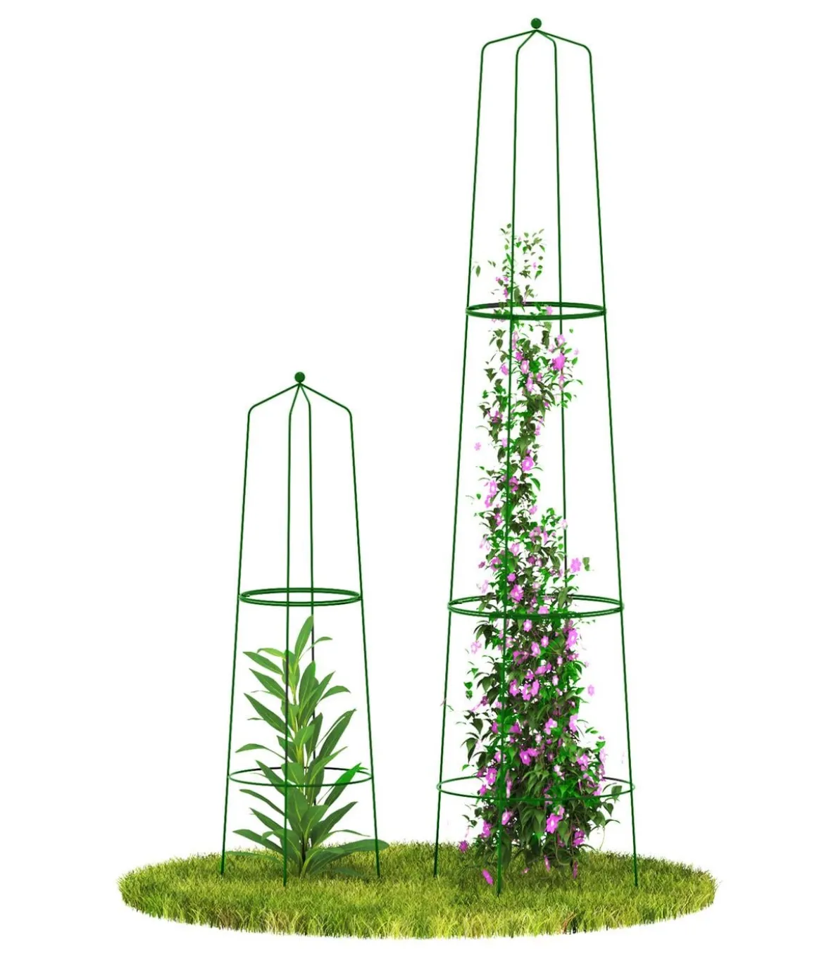Dehner Obelisk-Sekt Nova, 2-teilig