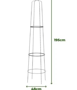 Dehner Obelisk-Sekt Nova, 2-teilig