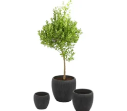 Dehner Polyresin-Pflanzvase Tokio in Riffeloptik, rund, grau