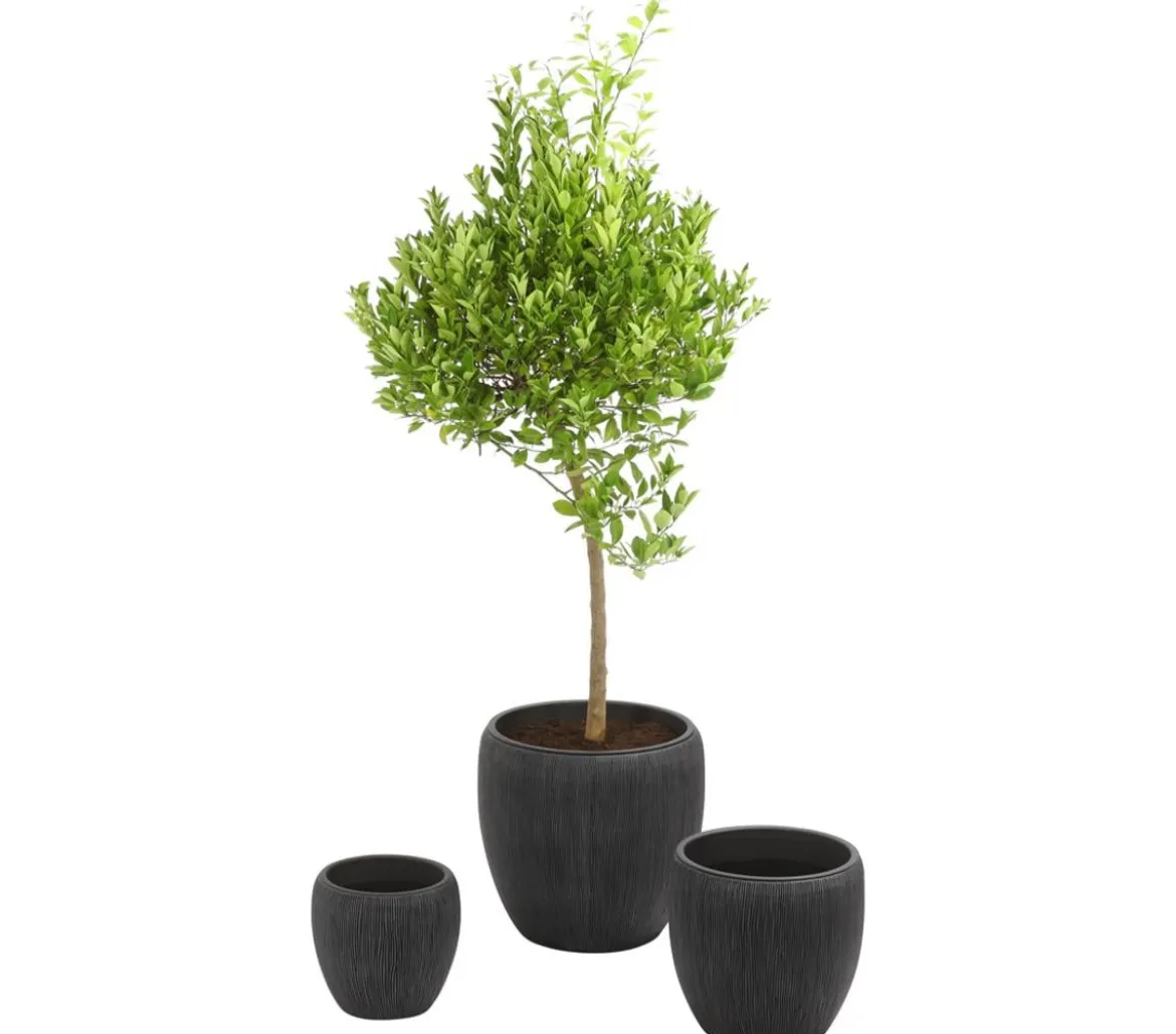 Dehner Polyresin-Pflanzvase Tokio in Riffeloptik, rund, grau