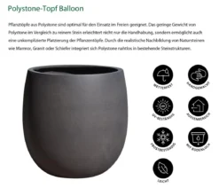 Dehner Polystone-Topf Balloon