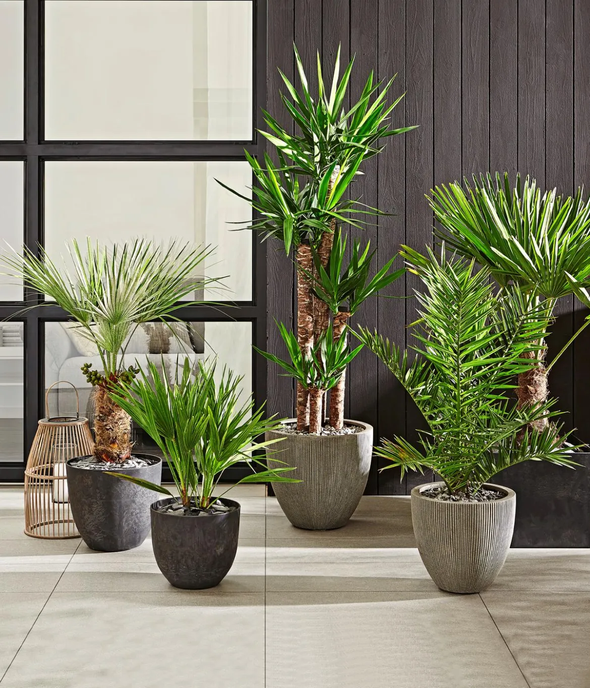 Dehner Polystone-Topf Brisbane in Riffeloptik, rund