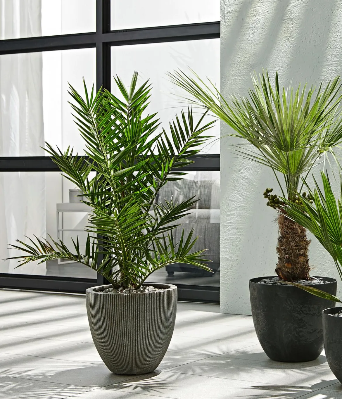 Dehner Polystone-Topf Brisbane in Riffeloptik, rund