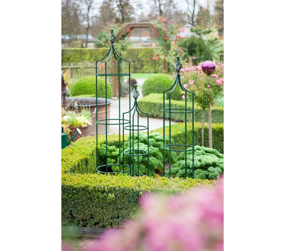 Dehner Premium Obelisk Royal