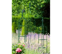 Dehner Premium Obelisk Royal