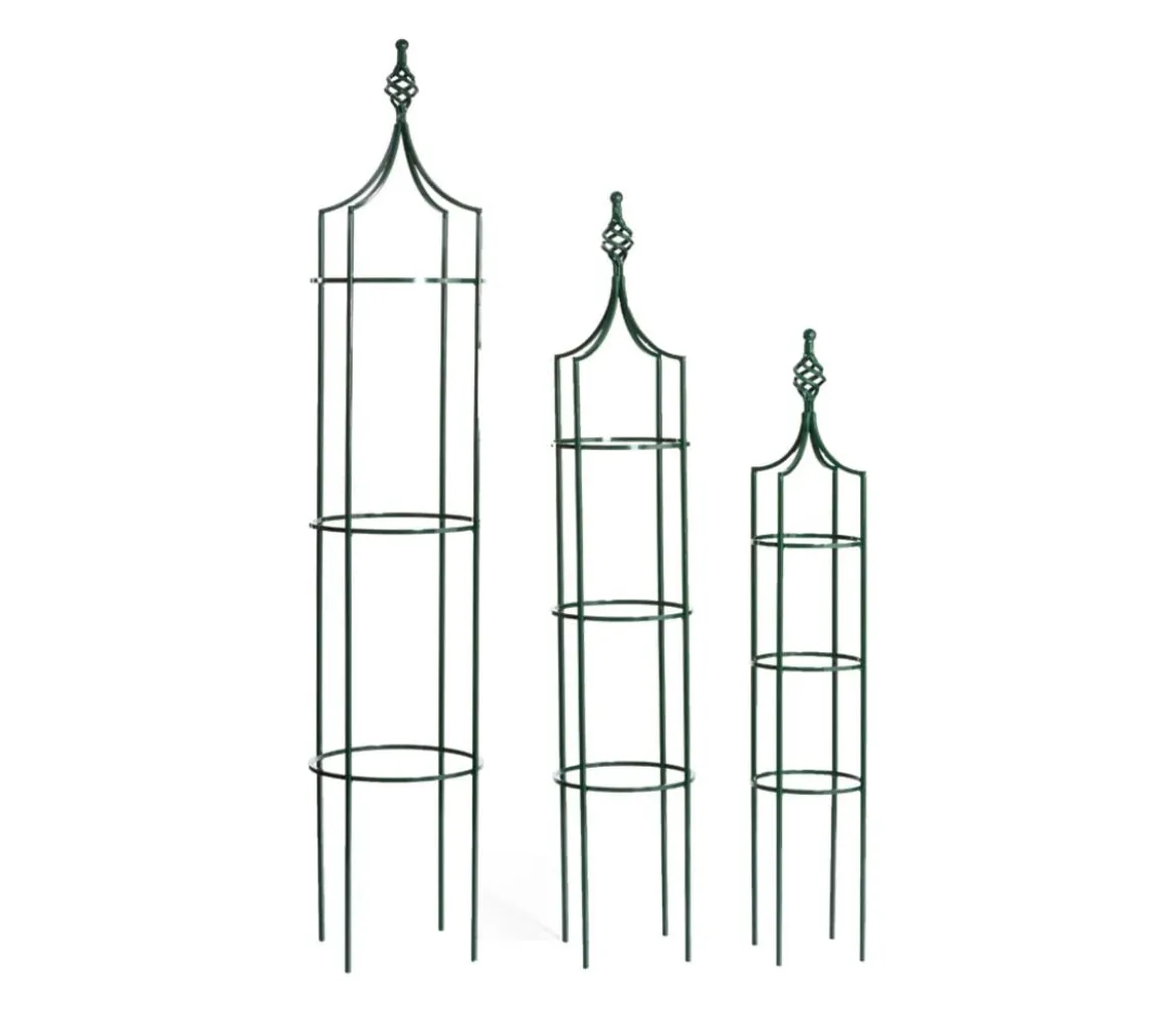 Dehner Premium Obelisk Royal