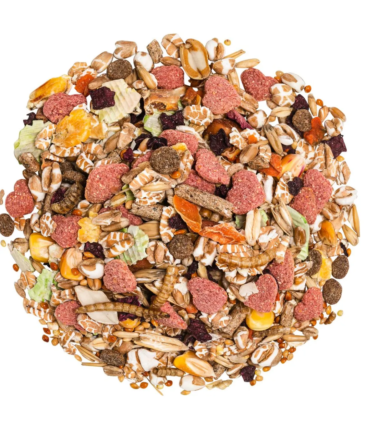 Dehner Premium Rennmausfutter, 750 g