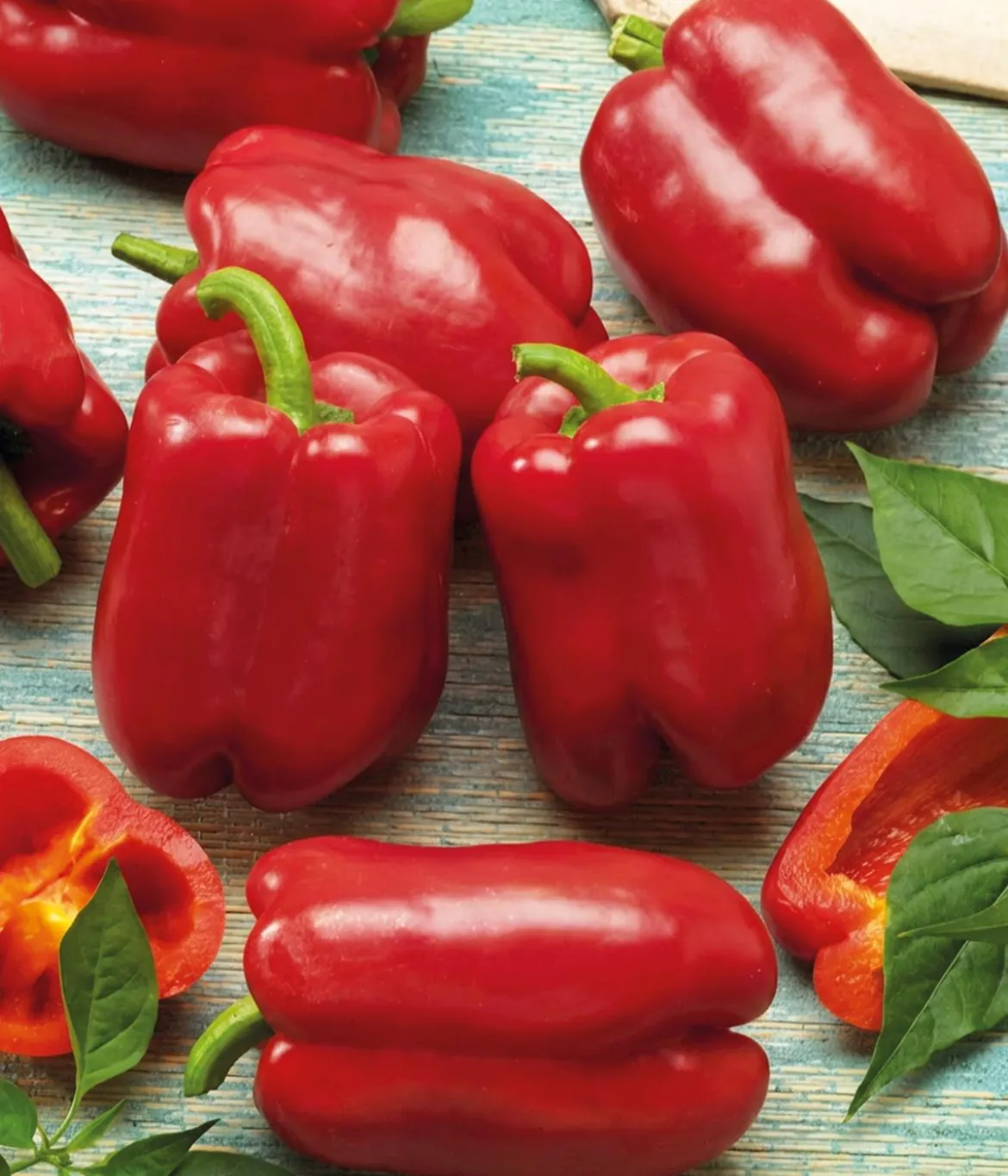 Dehner Premium Samen Block-Paprika 'Bendigo F1'