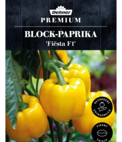 Dehner Premium Samen Block-Paprika 'Fiësta F1'