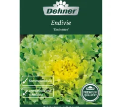 Dehner Premium Samen Endivien 'Eminence'