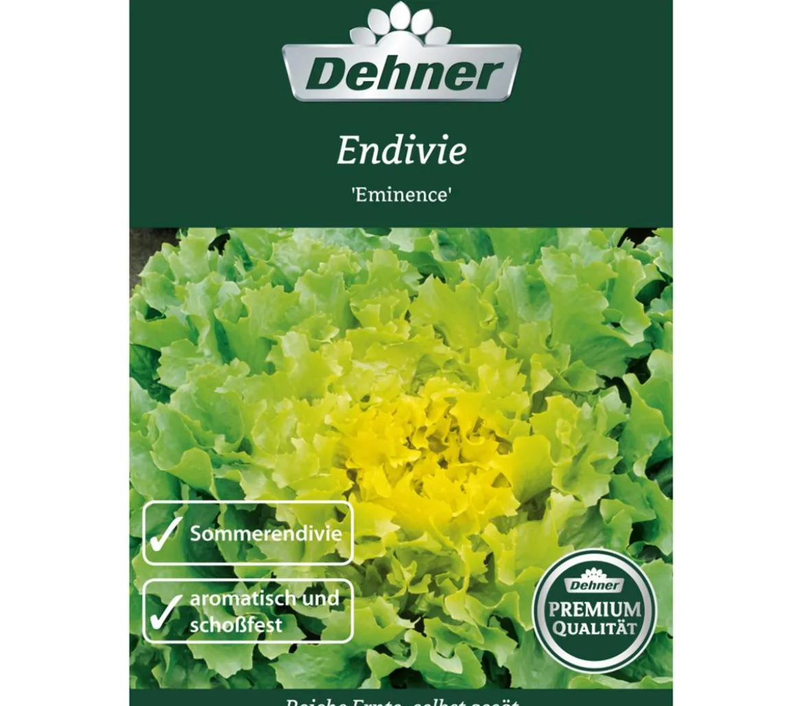 Dehner Premium Samen Endivien 'Eminence'