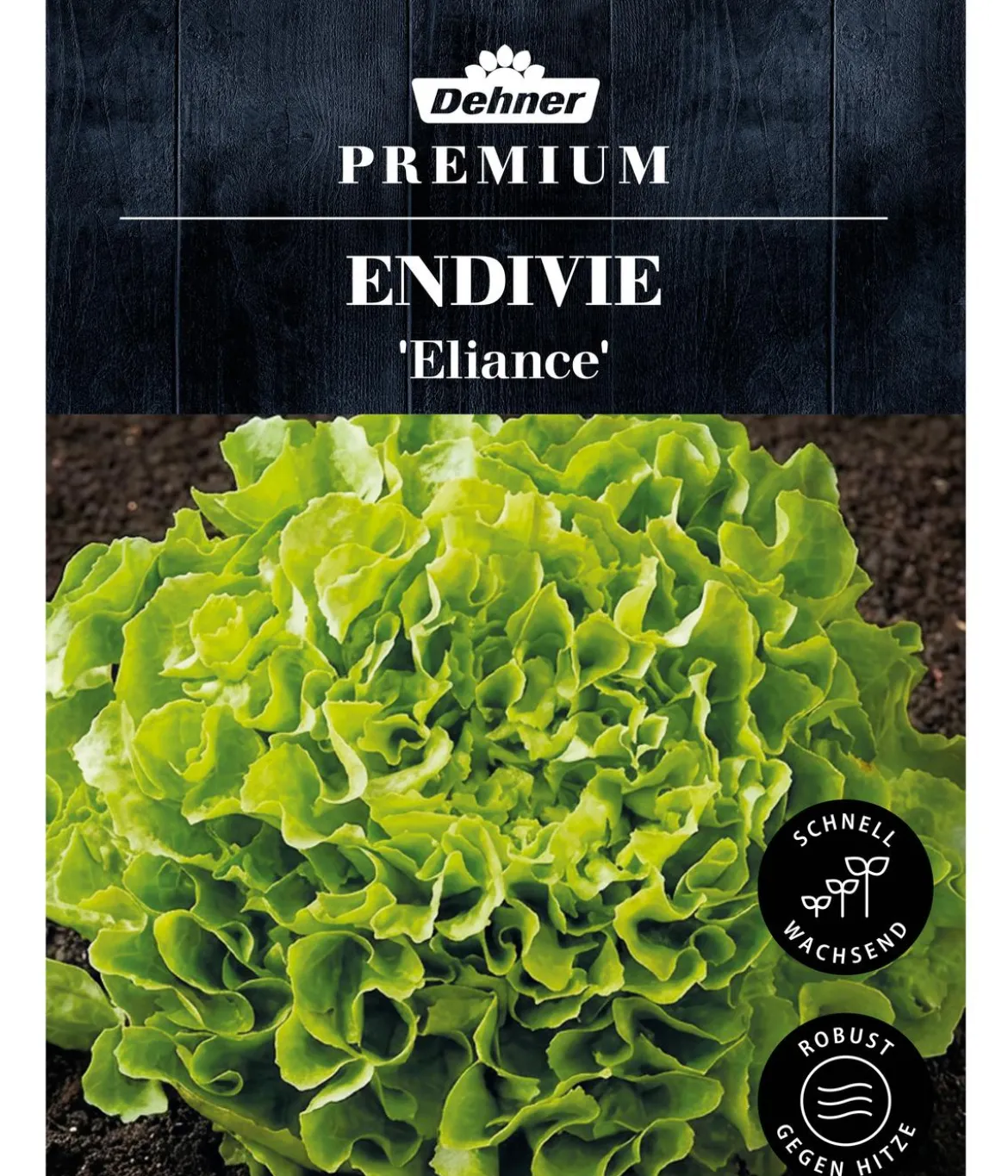 Dehner Premium Samen Endivie 'Eliance'