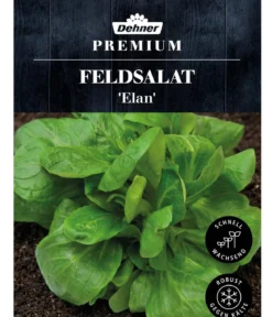 Dehner Premium Samen Feldsalat 'Elan'