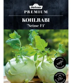 Dehner Premium Samen Kohlrabi 'Neisse F1'